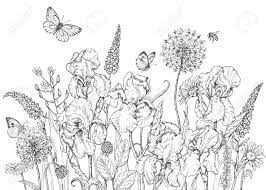 hand drawn line illustration with iris wildflowers and insects black white doodle wild flowers bees butterflies monochrome floral elements coloring page vector sketch royalty free cliparts vectors stock coloriage girafe