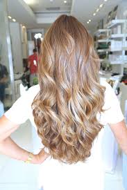 Pin By Clementine Marques Ribeiro On Hair In 2020 Hair Color Caramel Hair Color Auburn Dark Auburn Hair Color