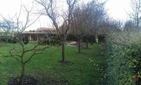 Potager, légumes, taille et semis, le jardinage se fait avec la lune en avril 2021. Verger Que Faire En Janvier Sur Les Arbres Fruitiers