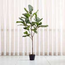 We did not find results for: Artificial 7 Fiddle Leaf Fig Tree Reviews Crate And Barrel