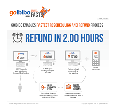 This Is A Information Graphic For Flight Cancellation And Money Refund Refund Infographic Sms