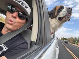 Saint Bernard puppies for sale in Maricopa, AZ