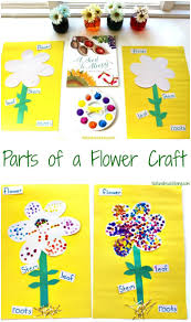 The Best Parts Of A Flower Craft For Kids Parts Of A