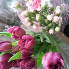 This pattern of growth is related to climatic conditions; Produce Junction 8 Tips