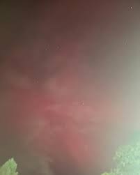 Rose Petillo McCarthy (@crosez) • Instagram photos and videos