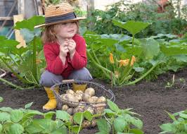 Decide what to do with your harvest: Gardening With Children Simple Tips To Make It Easy