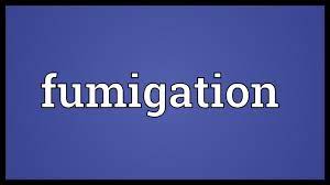 Fumigation Meaning Youtube