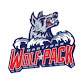 Cleveland Monsters at Hartford Wolf Pack event image