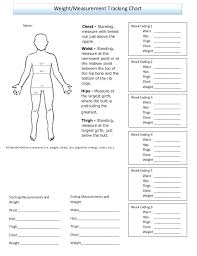 methodical tracking body measurements body measurement