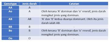 Air suling, air sirap, air bandung, air susu tabung uji, rak perhatikan warna air. Kenali Jenis Darah Anda Info Menarik Ramai Tak Tahu Bidadari My