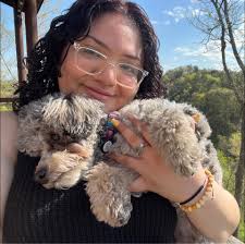 First time flying with american airlines with dog?