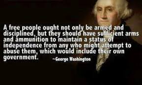 Quotes About Government And Guns 45 Quotes