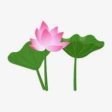 Maybe you would like to learn more about one of these? Gambar Kartun Daun Teratai Bunga Teratai Tanaman Air Daun Teratai Daun Teratai Merah Muda Png Dan Vektor Dengan Latar Belakang Transparan Untuk Unduh Gratis