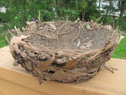 Birds That Make Mud Nests On Buildings A Model Bird Nest From Mud And Other Natural Materials From The Chocolate Muffin Tree Forest School Activities Forest School Outdoor Learning