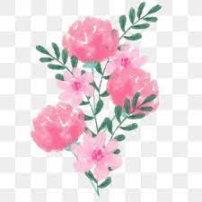 Watercolor Pink Flower Hand Painted Watercolor Carnation Cartoon Watercolor Pink Cute Little F In 2021 Pink Flowers Background Pink Watercolor Flower Flower Png Images