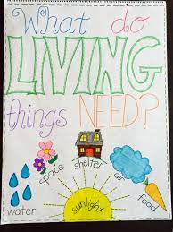 What Do Living Things Need Anchor Chart Anchor Charts Kindergarten Anchor Charts Anchor Charts First Grade