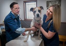 In millard, ne from 10 am to 1 pm and enjoy a bounce house, ima clown, food and drink, raffles, and rescue groups bringing adoptable dogs. South Central Vet Office Enjoys Expanded Building Space Albert Lea Tribune Albert Lea Tribune