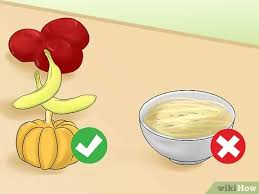 Check spelling or type a new query. 3 Ways To Prepare Healthy Meals For One Person Wikihow