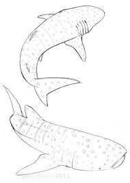 3rd International Whale Shark Conference Shark Painting Shark Art Shark Drawing