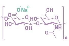 Home » hyaluronic acid » sodium hyaluronate vs hyaluronic acid. Sodium Hyaluronate Explained Products