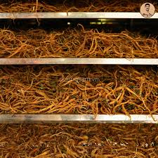 Đảng sâm dây tím hoa tím khô loại đặc biệt Dương Sâm - Dương Sâm