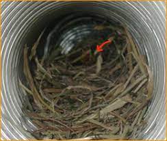 An intermediary solution to rodent resistant ducting, not as easy as installing flex but way easier than hard pipe. Rodents In The Ventalation System