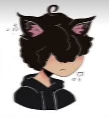 Discord anime jrpg brought to life collecting over 500 unique cards with stats and abilities to fight in pvp pve events and clan wars. Catboy Pfp In 2021 Girls Cartoon Art Cute Icons Cartoon Profile Pictures