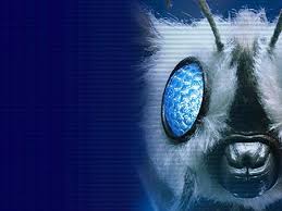 The series was produced by warpstar inc., a company formed between a joint investment between nintendo and hal laboratory, inc. Another Mothra Wallpaper By Pyrasterran On Deviantart