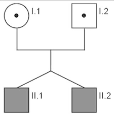 Pedigree Of Reported Family Pedigree Chart Designer By