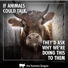 Pin On Vegan Inspiration