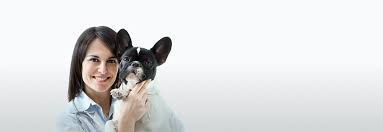 Veterinary clinic miami, fl 33101. Ask A Vet Online 24 7 Petcoach