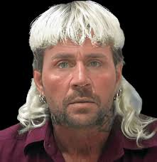 Austin Kitt's Ordeal with the Village of Babylon