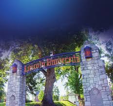 2018-2019 Annual Report