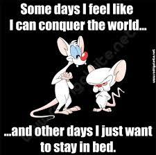 25 Ideias De Pinky And Brain Pink E Cerebro Pinky E Cerebro Desenhos Da Infancia