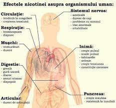 Fizioterapie Recuperare Medicala Posts Facebook