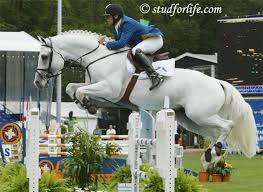 Studforlife The leading media for equestrian news. wishqatar org