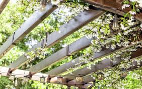 We did not find results for: Gardening Does Your Garden Feel A Bit Too Exposed Seven Solutions To Stop Nosy Neighbours Spoiling Summer The Irish News