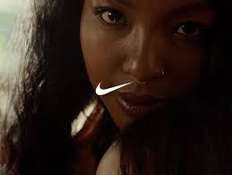 Evan Schafer's Instagram, Twitter & Facebook