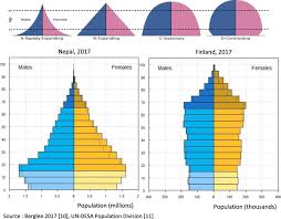 Males are usually shown on the left and females on the right, and they may be measured by count or as a percentage of the total population. Health Workforce Demography A Framework To Improve Understanding Of The Health Workforce And Support Achievement Of The Sustainable Development Goals Human Resources For Health Full Text