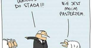 Pin By Grazyna Elohin On Memy Humor Humor Funny Comics