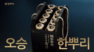 이 차의 튼튼함을 온 몸으로 느꼈네요ㅋㅋㅋㅋ여러분 모두 안전운전하세요!사고내신 차주분도 부디 안 아프셨길! ì˜¤ìŠ¹í™˜ ë‚˜ë¬´ìœ„í‚¤