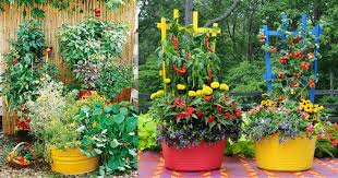 The backyard garden is a popular idea for growing vegetables. 15 Stunning Container Vegetable Garden Design Ideas Tips Balcony Garden Web