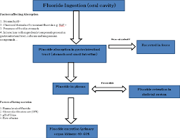 Image result for Fluoride Toxicity