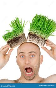 Erba sulla mia testa immagine stock. Immagine di orli