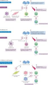 Image result for PIK3CA Inhibitor