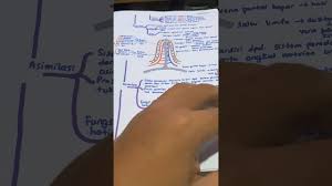 Nutrien diperlukan untuk membekalkan tenaga, pertumbuhan, menggantikan tisu rosak dan memelihara kesihatan badan. Nota Biologi Kssm Tingkatan 4 Jika Berminat Membeli Boleh Message No 01133837470 Youtube