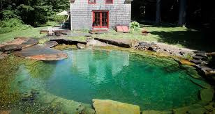 Portfolio Natural Swimming Ponds Swimming Pond Natural Pool