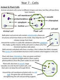 Check spelling or type a new query. Home Learning Pack Ks3 Year 7 Cells Teaching Resources
