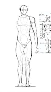 See more ideas about art reference poses, anatomy drawing, drawing reference poses. Male Anatomy Drawing Anime