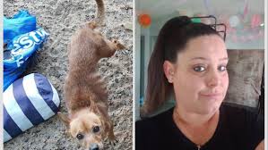 Katrina Lee Thorne: Three-year pet ban for Glen Iris woman who starved jack  russell and staffy cross